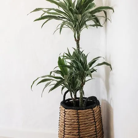 The Carobs Villa Carvoeiro (Lagoa)