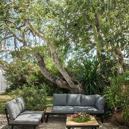 The Carobs Villa Carvoeiro (Lagoa)