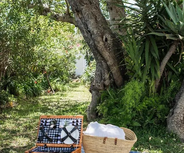 The Carobs * Carvoeiro (Lagoa)